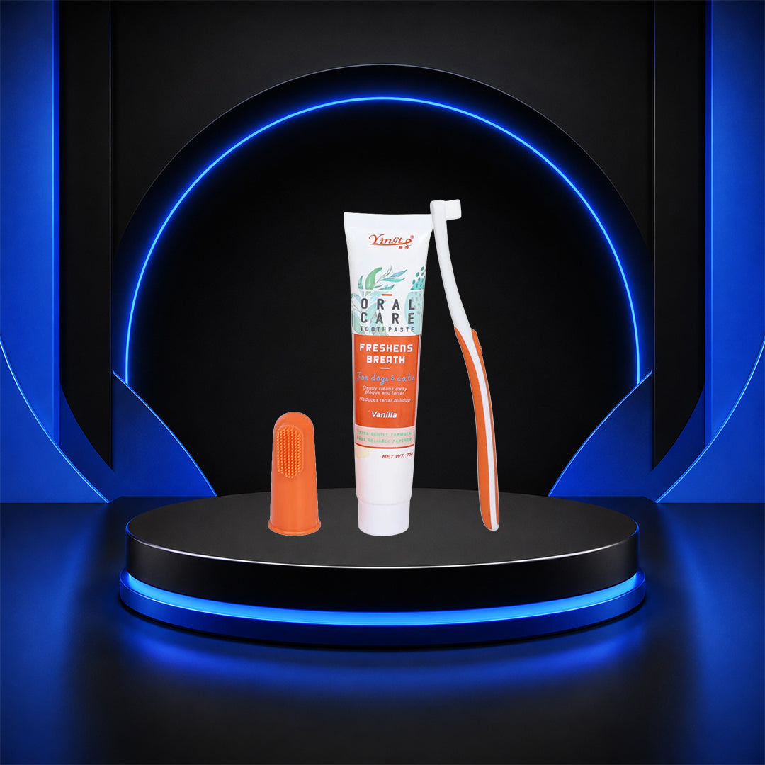 Pax Boxs Pet Dental Care Toothpaste and Toothbrush Set product photo